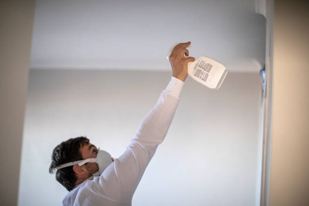 Best Professional Mold Removal  in Hamburg, IA