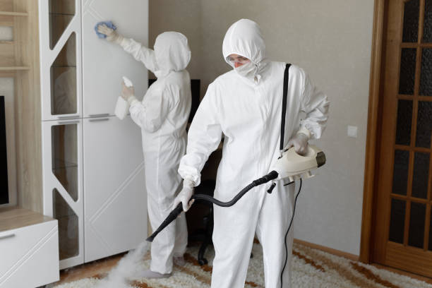 Best Local Mold Removal Service  in Hamburg, IA