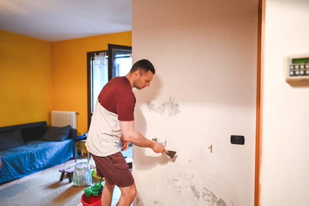 Best Professional Mold Removal  in Hamburg, IA